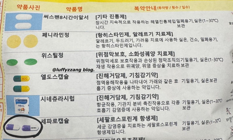 [임신일기] 16주차 임산부 고열 편도염 | 산부인과 약처방 복용 | 임산부 복용가능한 약