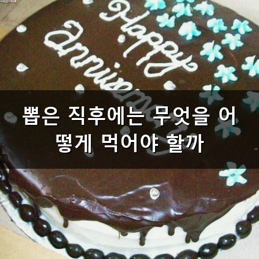 사랑니 발치 후 식사 언제부터 어떻게 해야 할까