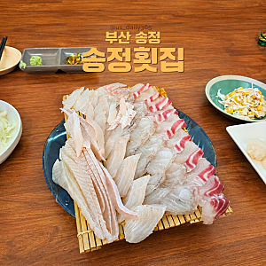 [부산/송정] 현지인 추천 "송정횟집" 내돈내산 솔직 후기｜스끼 잘 나오는 가성비 좋은 횟집