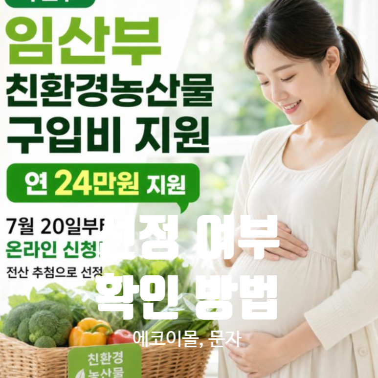 [임신일기] 임산부 친환경농산물 꾸러미 지원사업 선정 확인방법 (에코이몰)
