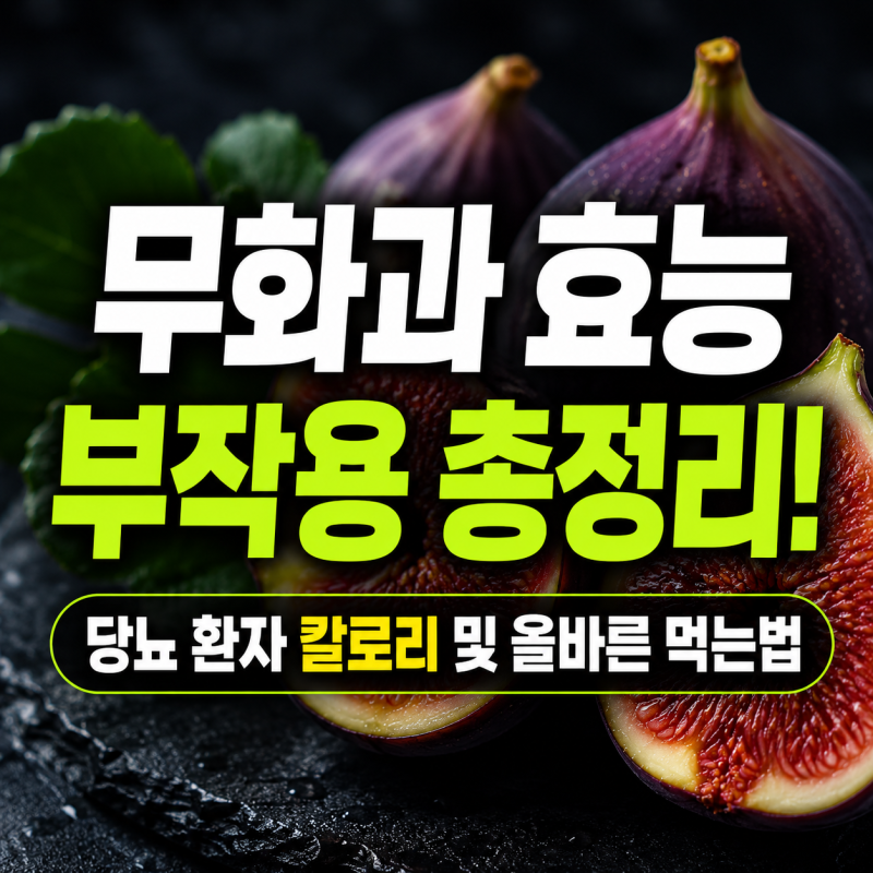 무화과 효능 부작용 총정리! 당뇨 환자 칼로리 및 올바른 먹는법