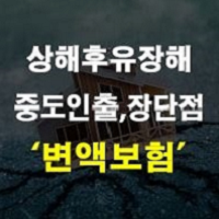 상해보험 상해후유장해 및 변액보험 중도인출 장점 수익율 뜻 정리