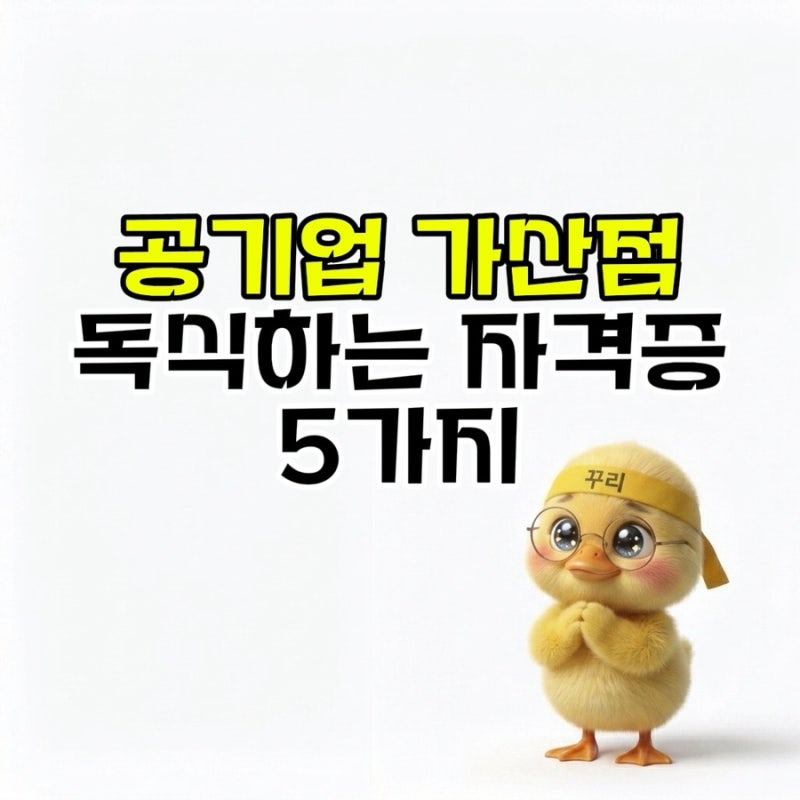 공기업·공공기관 가산점 독식하는 필수 자격증 5가지