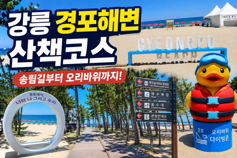 강릉 경포해변 산책 후기, 경포해수욕장 솔숲부터 오리바위 다이빙존까지