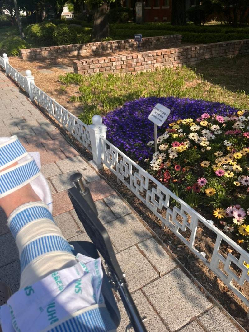 서울대병원 입원 생활 (feat. 인공관절 염증, 병실안내, 주차, 간호간병통합병동, 맛집 등)