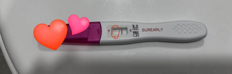 두 번째 임신ㅣ소파술 후 다시 찾아온 두 줄, 더딘 임테기 진하기 변화 기록