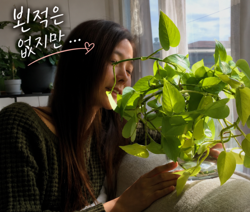 독립운동가의 증손녀 강수지 국진도 몰라, 가족사에서 기억할 4가지…..방송·1919년 기록·삼....