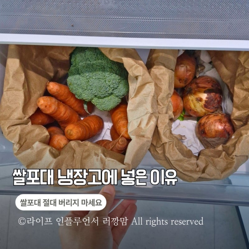 쌀포대 그냥 버리세요? 냉장고 야채칸 정리함으로 써보세요