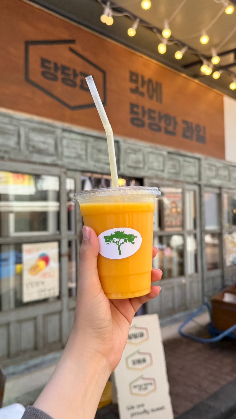가성비 최강 제주도 만원 망고빙수(만원대아님) 제주동문시장 애플망고 판매점 현지 망고맛....
