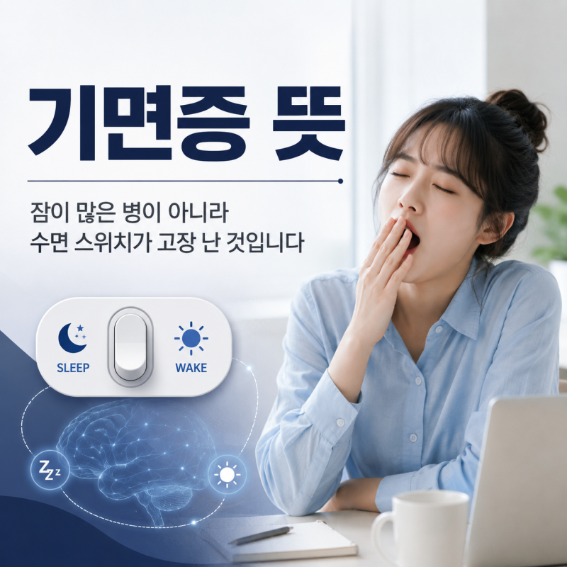 기면증 뜻, 잠이 많은 병이 아니라 수면 스위치가 고장 난 것입니다