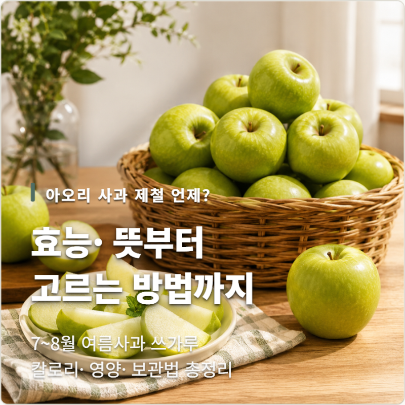 아오리 사과 제철, 효능, 뜻부터 맛있는 사과 고르는 방법까지