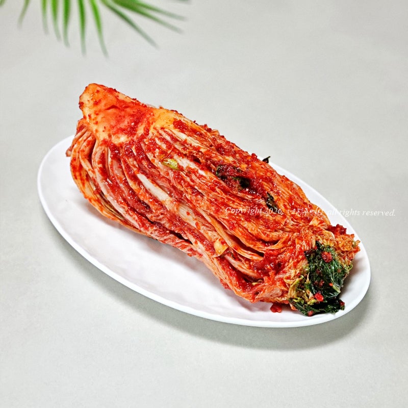 여름 배추김치 담그는법 포기김치 양념 레시피
