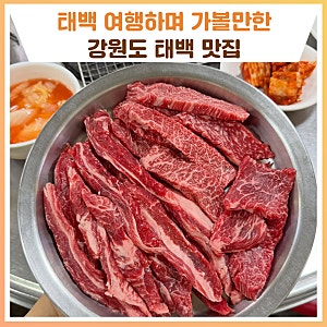 강원도 태백 맛집 - 물닭갈비.옹심이,막국수,한우까지! [강원도 맛집]