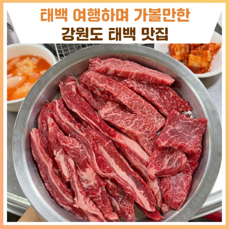 강원도 태백 맛집 - 물닭갈비.옹심이,막국수,한우까지! [강원도 맛집]