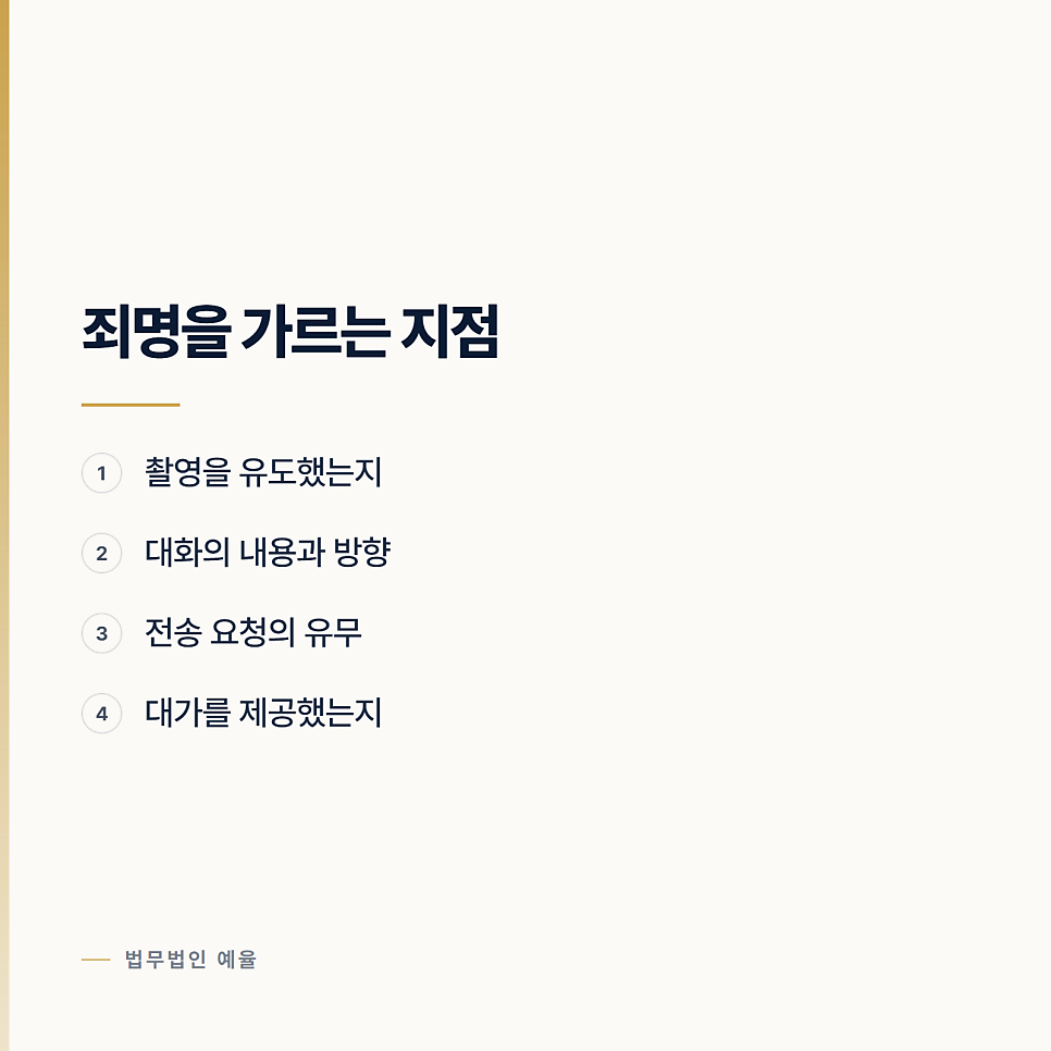 직접 찍지 않아도 제작이 되는 이유 인천아청법변호사 관련 사진