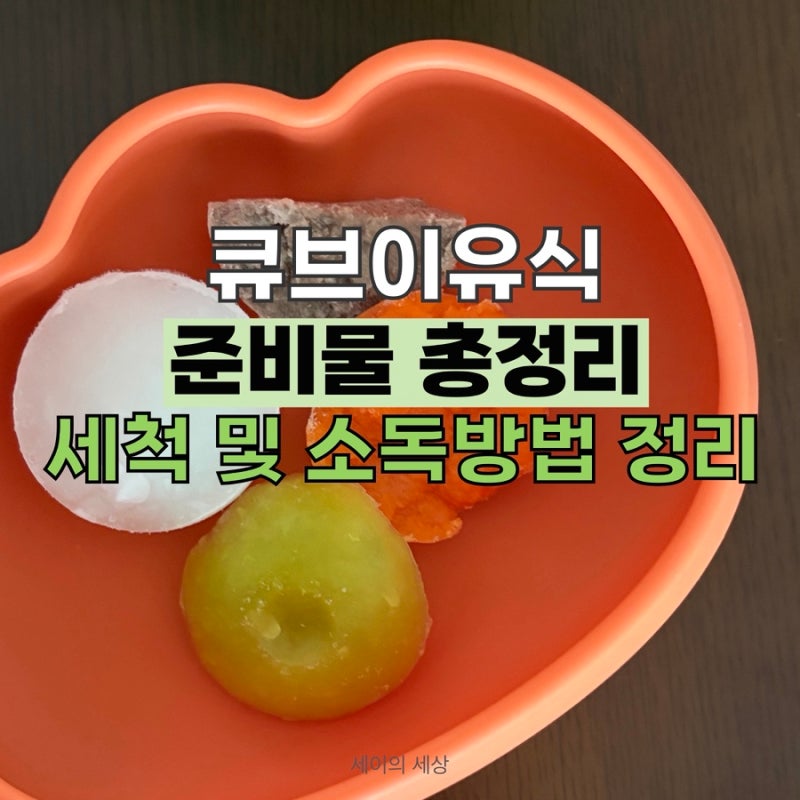 아기 큐브이유식 준비물 정리(이유식용품 소독 및 세척방법까지 정리함!)