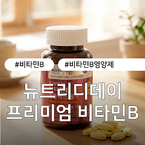 뉴트리디데이 비타민B영양제 후기 | 프리미엄 비타민B 컴플렉스 골드