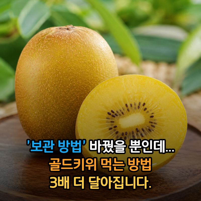 '보관 방법만 바꿨을 뿐인데...'3배 더 달아집니다. 골드키위 먹는 방법