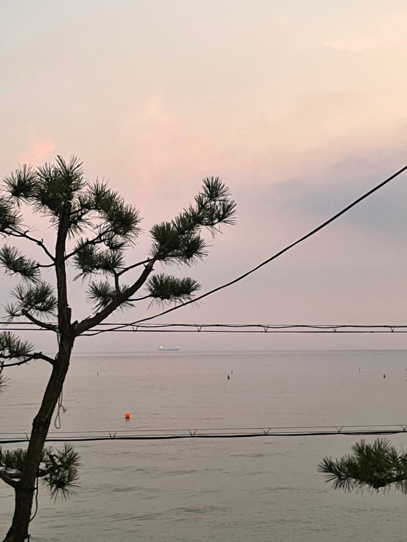 대천 해수욕장에서 여름휴가 보내기
