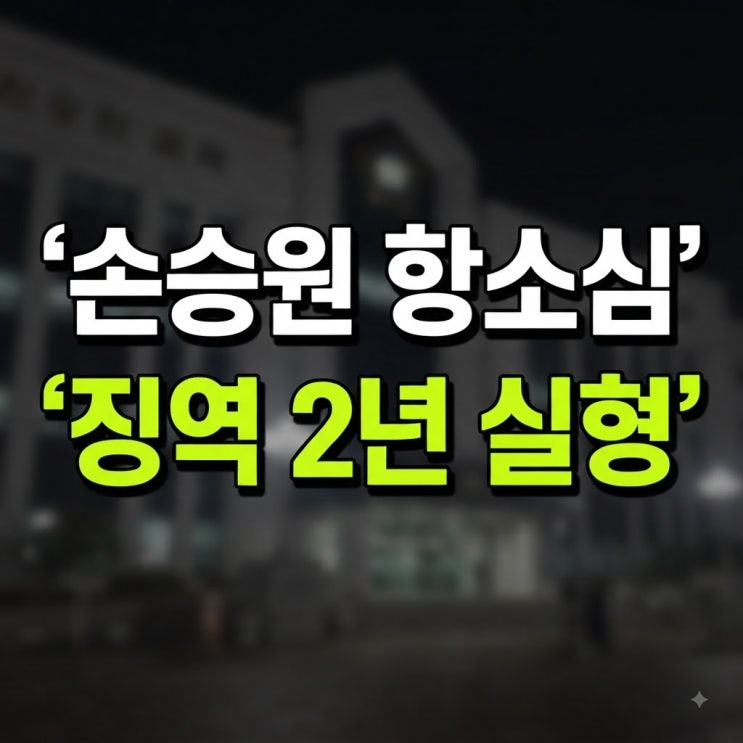배우 <b>손승원 음주운전</b> 5회 사건, 항소심 결과 <b>징역 2년</b> 선고 (1심보다....