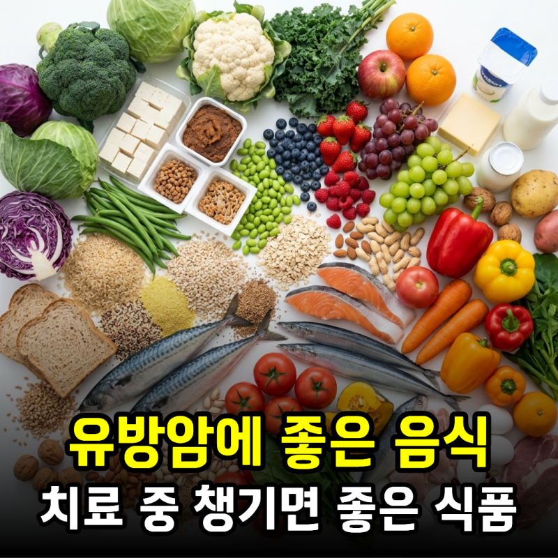 유방암에 좋은 음식, 치료 중 챙기면 좋은 식품과 식단