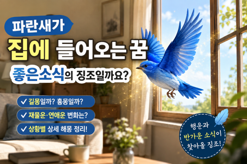 파란새가집에들어오는꿈 좋은소식의 징조일까요
