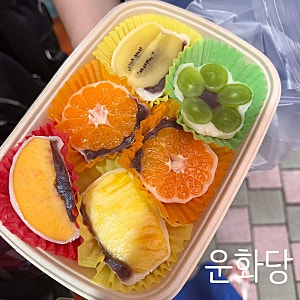 제주도 동문시장 운화당 과일모찌맛집 예약방법 후기