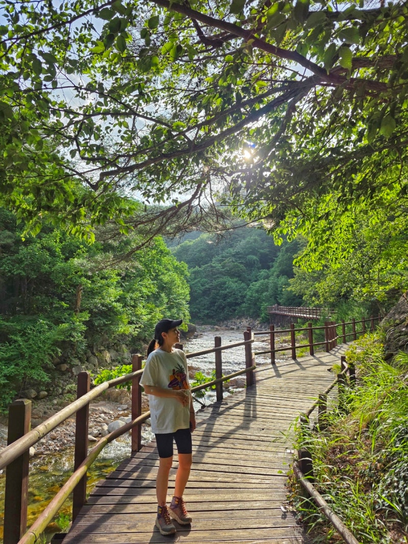 [강원도 가볼만한곳] 설악산 주전골 트레킹 산책코스 임산부 & 아기랑 트레킹후 오색약수 계....