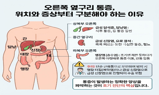 오른쪽 옆구리 통증 원인 5가지 및 바로 확인해야 할 위험 질환