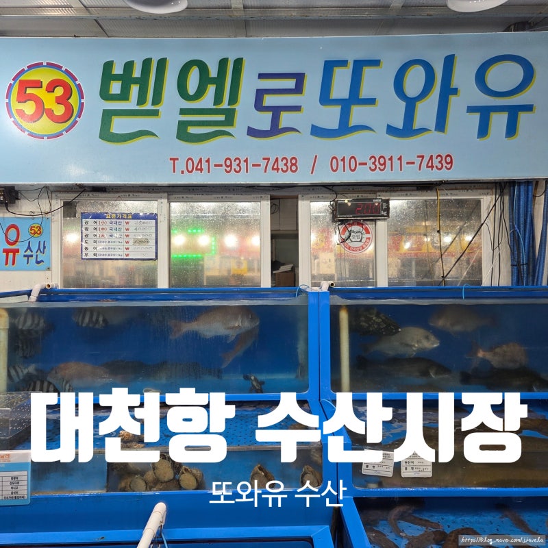 대천항 수산시장 보령 회포장 추천 20년 단골 맛집 53호 또와유