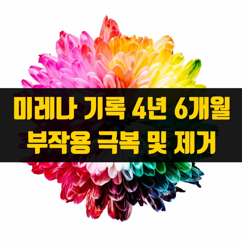 4년 6개월간의 미레나 후기: 부정출혈과 여드름 부작용 극복 후 유방 미세석회화로 제거