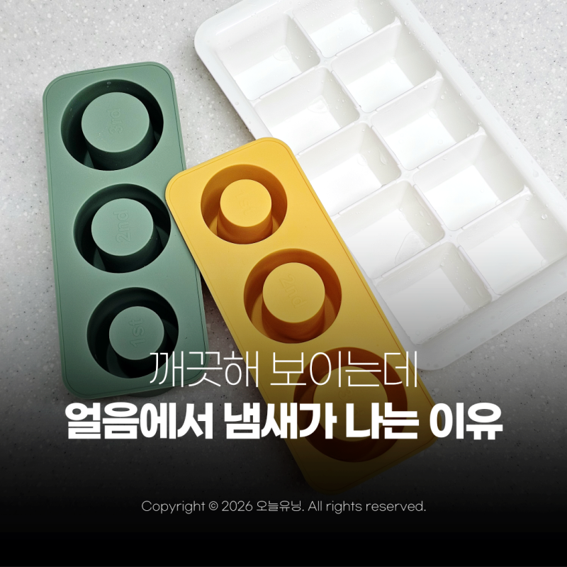 실리콘 얼음틀 세척 냄새 제거 매번 새것처럼 쓰는 방법