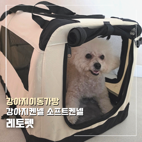 레토펫 강아지이동가방 소프트 켄넬 처음 써 본 우리 강아지 후기
