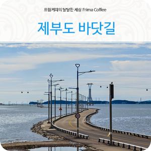 제부도물때시간표 알고 간 제부도해수욕장