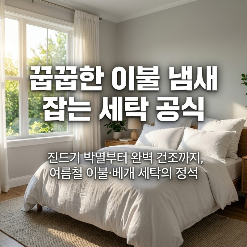 이불에서 꿉꿉한 냄새 난다면 필독! 베개 솜 진드기까지 싹 잡는 여름 세탁 공식