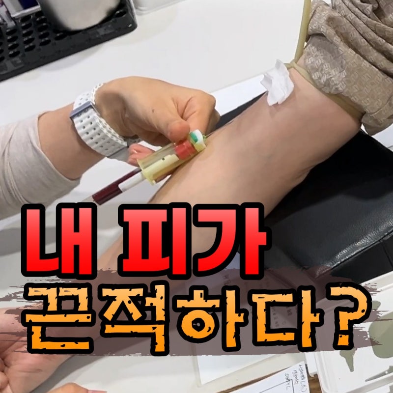 혈액검사 비용과 검사 항목, 심혈관 건강도 확인할 수 있을까요?