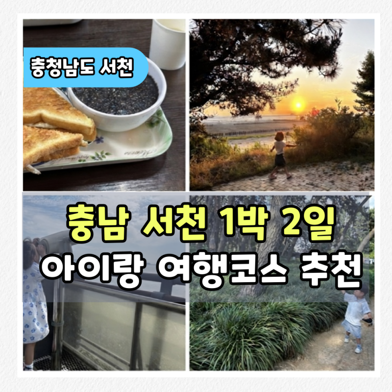서천 1박 2일 아이랑 가볼만한 곳 여행코스 총정리 (시큐리움·국립생태원 포함) 찐후기