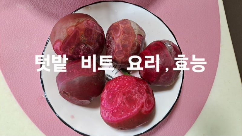 2년 동안 정성껏 키운 비트 수확! 뿌리 찌는 법부터 특별한 비트잎나물 레시피까지 붉은빛 건....