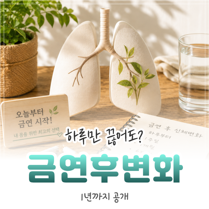 금연 후 신체변화, 하루부터 1년까지 시간별 정리