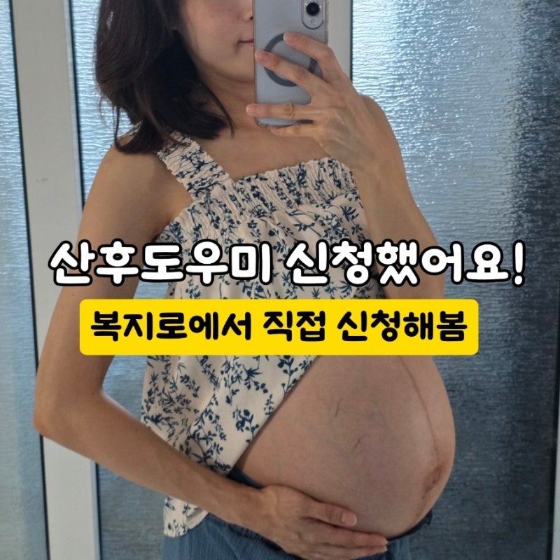 정부지원 산후도우미 신청 방법, 복지로 신청부터 준비서류까지