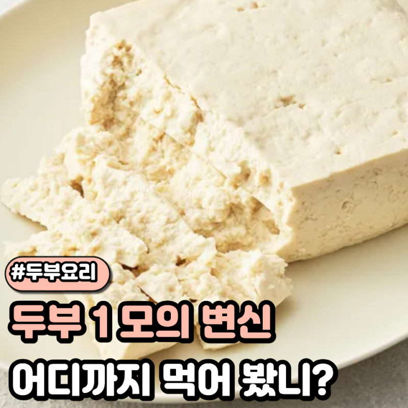 매일 먹어도 안 질리는 다이어트 두부요리 10가지