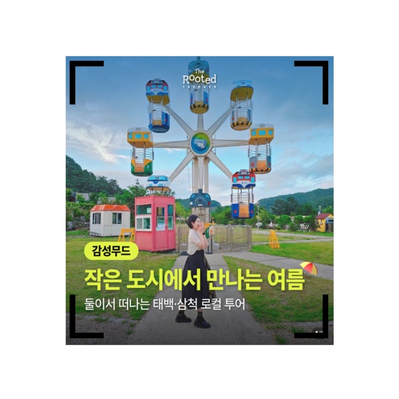 [태백 여행] 1박 2일 태백 가볼만한곳 추천! 해바라기 축제부터 스위치백 기차·꽃사슴 목장 ....
