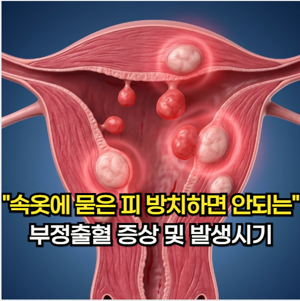 부정출혈 원인, "속옷에 묻은 피를 방치하면 안 되는" 부정출혈 증상 및 발생 시기