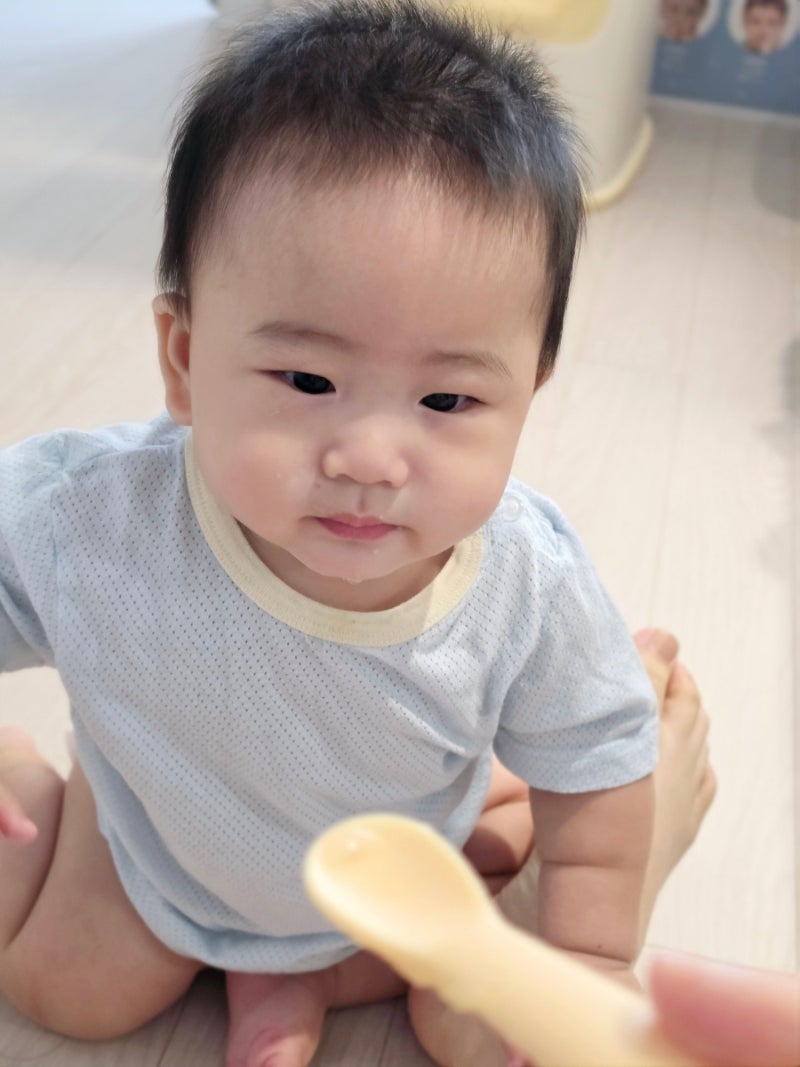 아기 사과 언제부터 사과퓨레 만들기 첫 사과 시식 후기