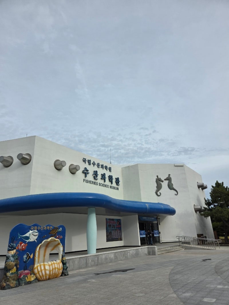 부산 기장 국립수산과학원 수산과학관 아이와 가볼 만한 곳 추천 기장 실내 놀거리