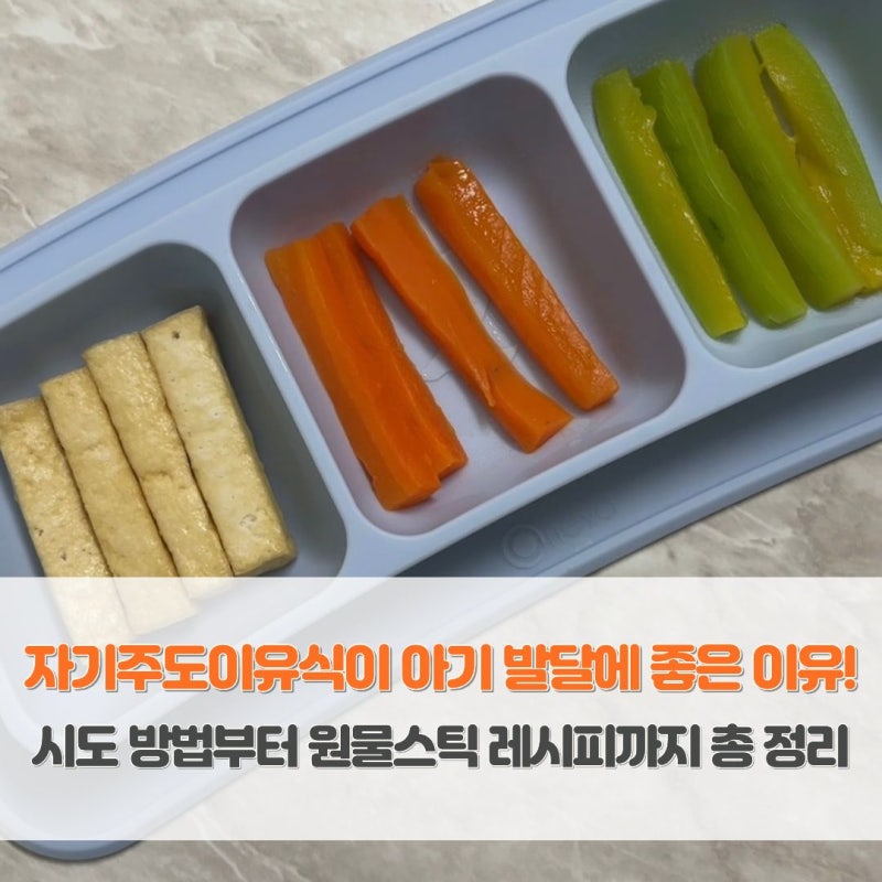 자기주도이유식이 아기 발달에 좋은 이유! 시도 방법부터 원물스틱 레시피까지 총정리