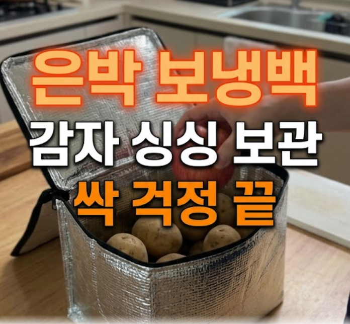 배달 은박 보냉백 재활용, 그냥 버리지 마세요! 감자·채소 신선 보관법