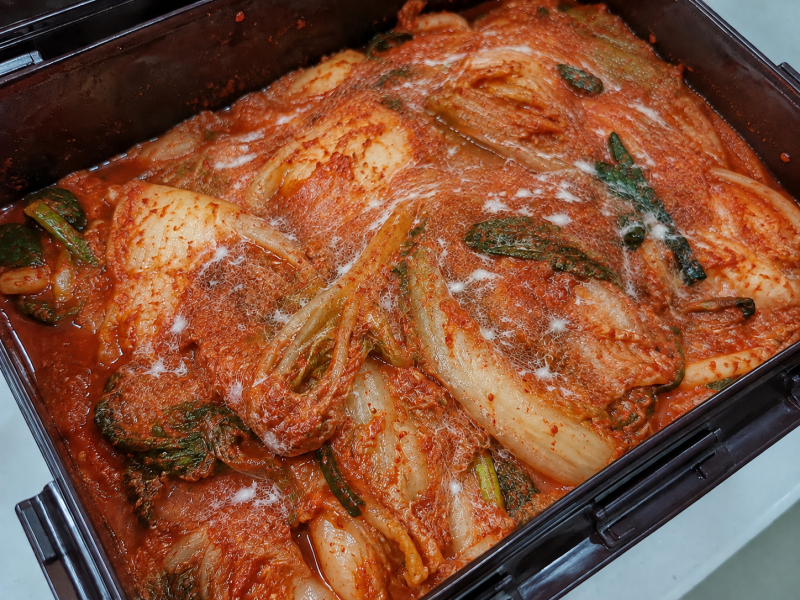 김치 골마지 하얀곰팡이 먹어도 될까요? 버려야 하는 경우까지 정리