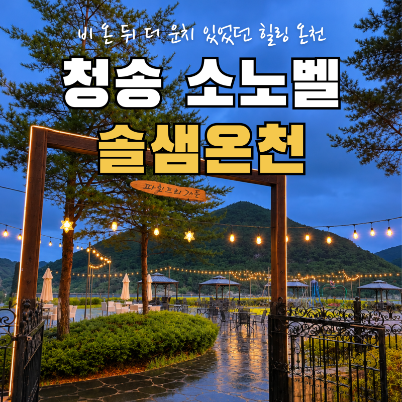 청송 소노벨 솔샘온천 후기｜비 오는 날 더 좋았던 히노끼 노천탕