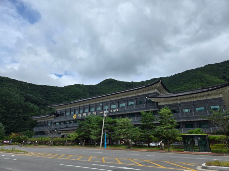 태백호텔 숙소 수영장 워터풀 버블파티 조식 강원도 태백여행 코스 아이와 여름휴가 총정리